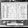 1881 England Census Record for David Thomas Dobinson