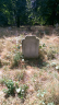 George Sawyer Ann Sawyer Mary Jane Dobinson Grave