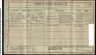 1911 England Census Record for William F Dobinson