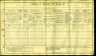 1911 England Census Record for William Thomas Shed